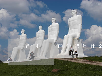合同糾紛的仲裁是什么仲裁