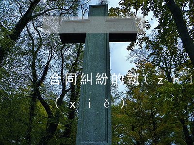 合同糾紛的執(zhí)行異議之訴怎么寫(xiě)
