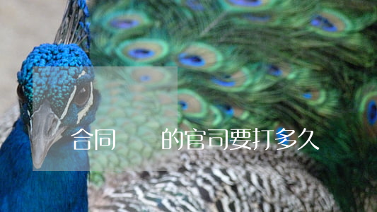合同糾紛的官司要打多久
