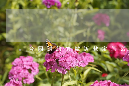 合同糾紛的撤訴裁定怎么寫