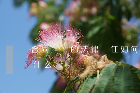 合同糾紛的法律責任如何裁決(合同糾紛屬于什么糾紛)