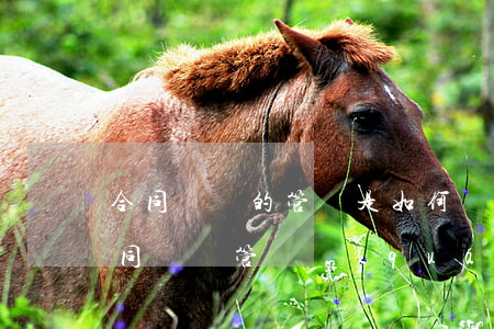 合同糾紛的管轄是如何規(guī)定的(合同糾紛管轄權(quán)確定)