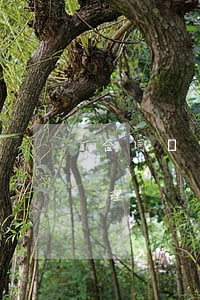 合同糾紛立案后多久可以開(kāi)庭審理
