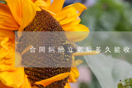合同糾紛立案后多久能收到傳票