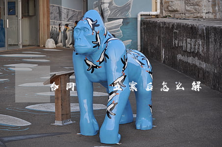合同糾紛立案后怎么解決