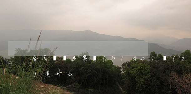 合同糾紛立案標(biāo)準(zhǔn)是什么