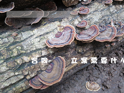 合同糾紛立案需要什么條件