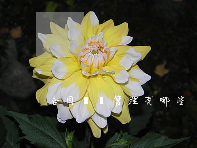 合同糾紛管理有哪些
