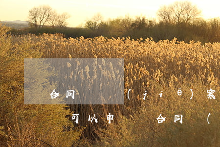 合同糾紛結(jié)案后對(duì)方還可以申訴嗎(合同協(xié)議糾紛被起訴怎樣應(yīng)訴)