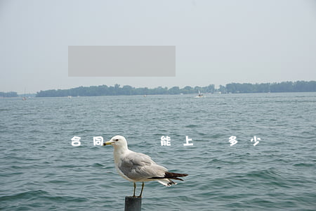 合同糾紛能上訴多少