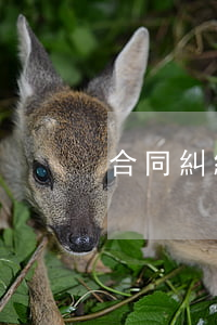 合同糾紛處理方法有哪些