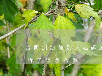 合同糾紛被別人起訴怎樣處理(合同糾紛被起訴了該怎么做)