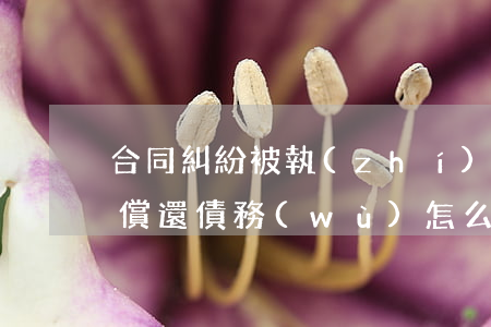 合同糾紛被執(zhí)行人無(wú)力償還債務(wù)怎么辦-合同糾紛無(wú)力償還的法院會(huì)怎么判