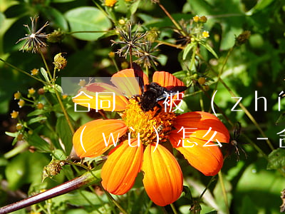 合同糾紛被執(zhí)行人無力償還債務(wù)怎么辦-合同糾紛無力償還的法院會(huì)怎么判