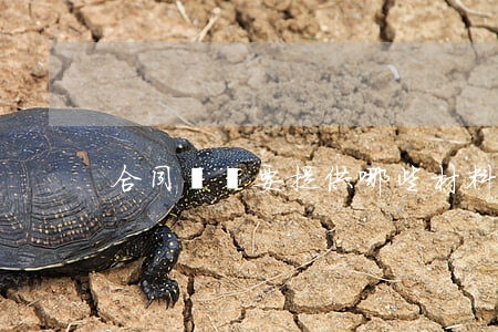 合同糾紛要提供哪些材料