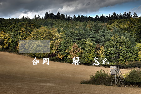 合同糾紛解決怎么寫