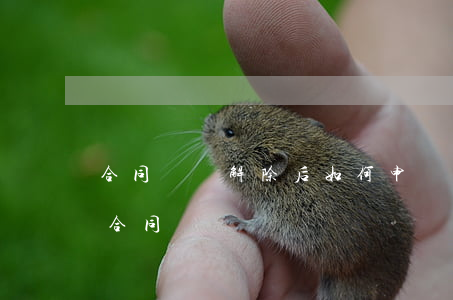 合同糾紛解除后如何申請賠償(訴訟請求解除合同)