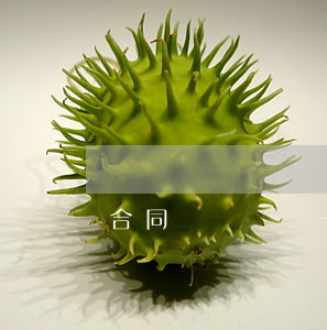 合同糾紛訴訟一般需要多久訴訟