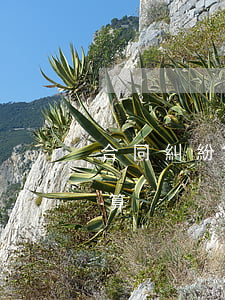 合同糾紛訴訟費(fèi)如何計(jì)算