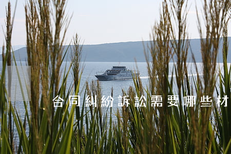 合同糾紛訴訟需要哪些材料