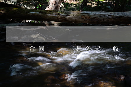 合同糾紛該怎么起訴收費(fèi)
