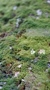 合同糾紛調(diào)解后如何賠償