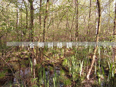 合同糾紛調(diào)解方法有哪些