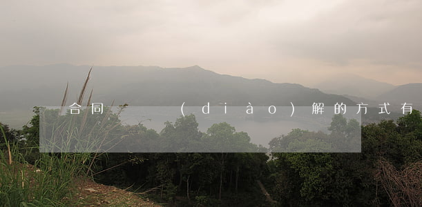 合同糾紛調(diào)解的方式有哪些