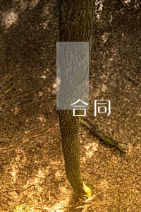 合同糾紛證據(jù)不足怎么處理