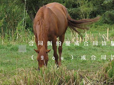 合同糾紛變成合同詐騙了 地(有合同就一定構(gòu)成合同詐騙嗎)