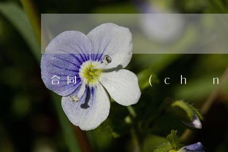 合同糾紛財產(chǎn)分割如何處理