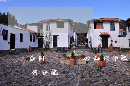 合同糾紛賠償金如何分配(合同糾紛賠償金如何分配)