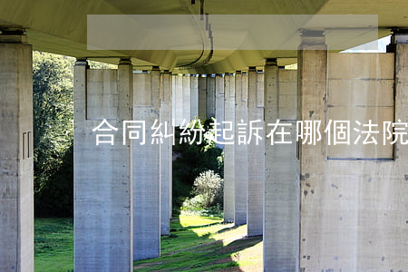 合同糾紛起訴在哪個法院