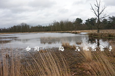 合同糾紛起訴大概需要多久