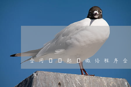 合同糾紛起訴微信程序(合同糾紛起訴微信程序)