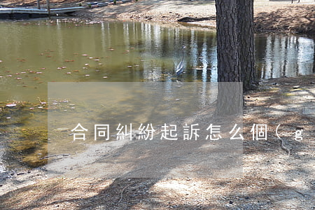合同糾紛起訴怎么個(gè)流程