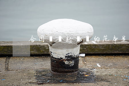 合同糾紛起訴書的范本是怎樣的