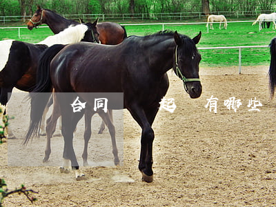 合同糾紛起訴有哪些條件