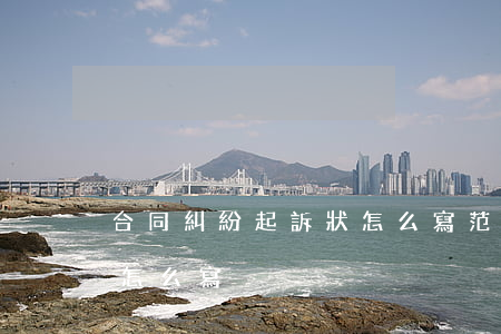 合同糾紛起訴狀怎么寫范本(合同糾紛訴訟書怎么寫)
