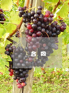 合同糾紛起訴費(fèi)用標(biāo)準(zhǔn)多少