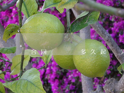 合同糾紛過多久起訴失效