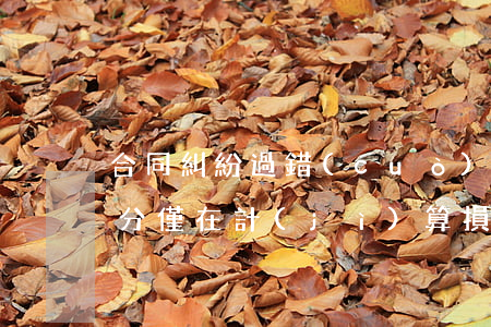 合同糾紛：過錯(cuò)責(zé)任的劃分僅在計(jì)算損害賠償時(shí)有意義