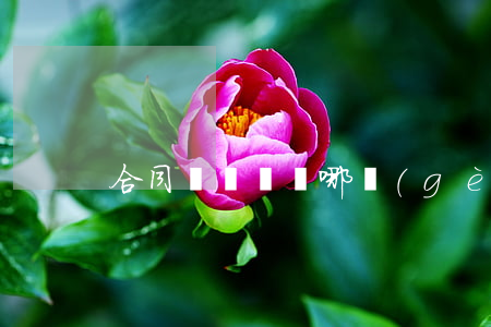 合同糾紛選擇哪個(gè)部門投訴