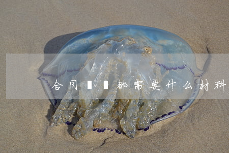 合同糾紛都需要什么材料