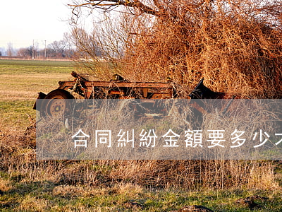 合同糾紛金額要多少才可以立案
