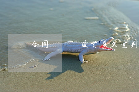 合同糾紛開庭前多久宣判