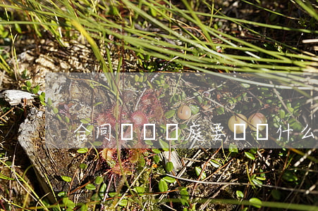 合同糾紛開庭要準備什么東西
