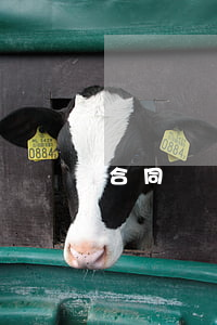 合同糾紛需要仲裁多久