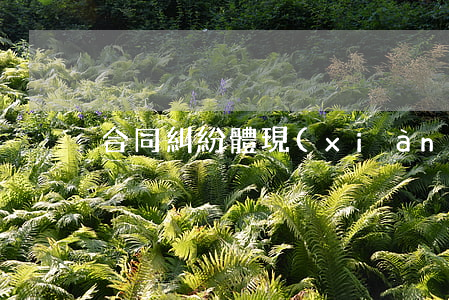 合同糾紛體現(xiàn)在哪些方面