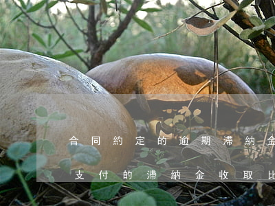 合同約定的逾期滯納金多少合適-合同逾期支付的滯納金收取比例